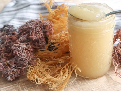 How One particular Grow Could Save An Existence: The key benefits of Sea Moss