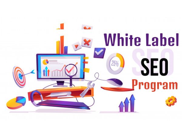 Ways You Can Get Great White Label Seo Services