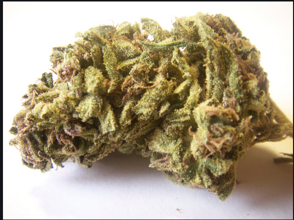 Have The Unwanted weeds Yours From Your Reliable Online Dispensary