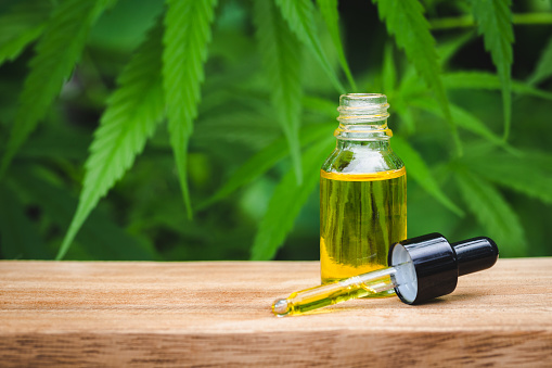 Learn About Different Types of CBD Oils Available in Stores Near You