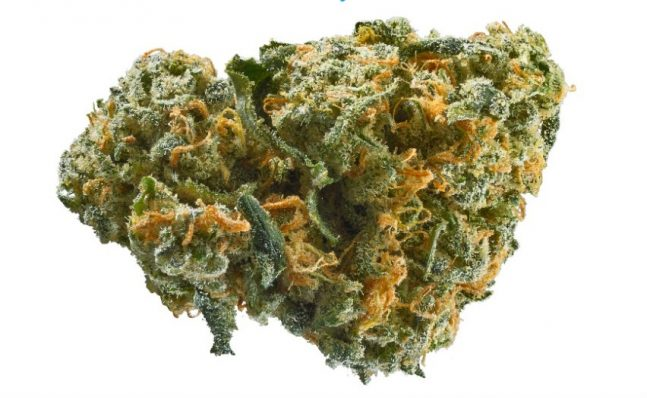 Your possibility to Buy Weed On the web of the most effective quality